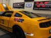 Joe Elchaar Boss 302 Dyno Tuning