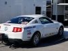 Mustang Cobra Jet Showdown