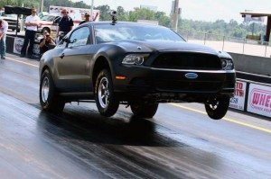 Mustang Wheelie Bar 